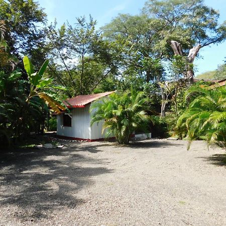 Villasjungle 1 Самара Экстерьер фото