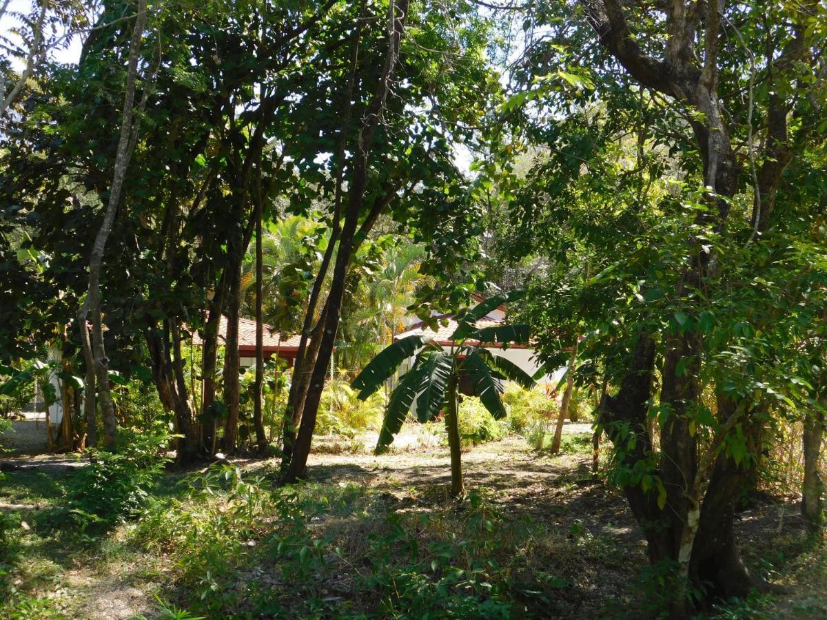 Villasjungle 1 Самара Экстерьер фото