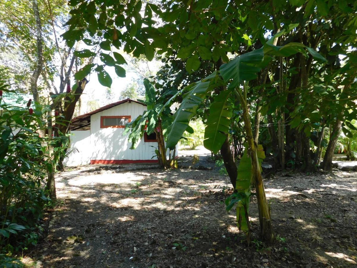 Villasjungle 1 Самара Экстерьер фото