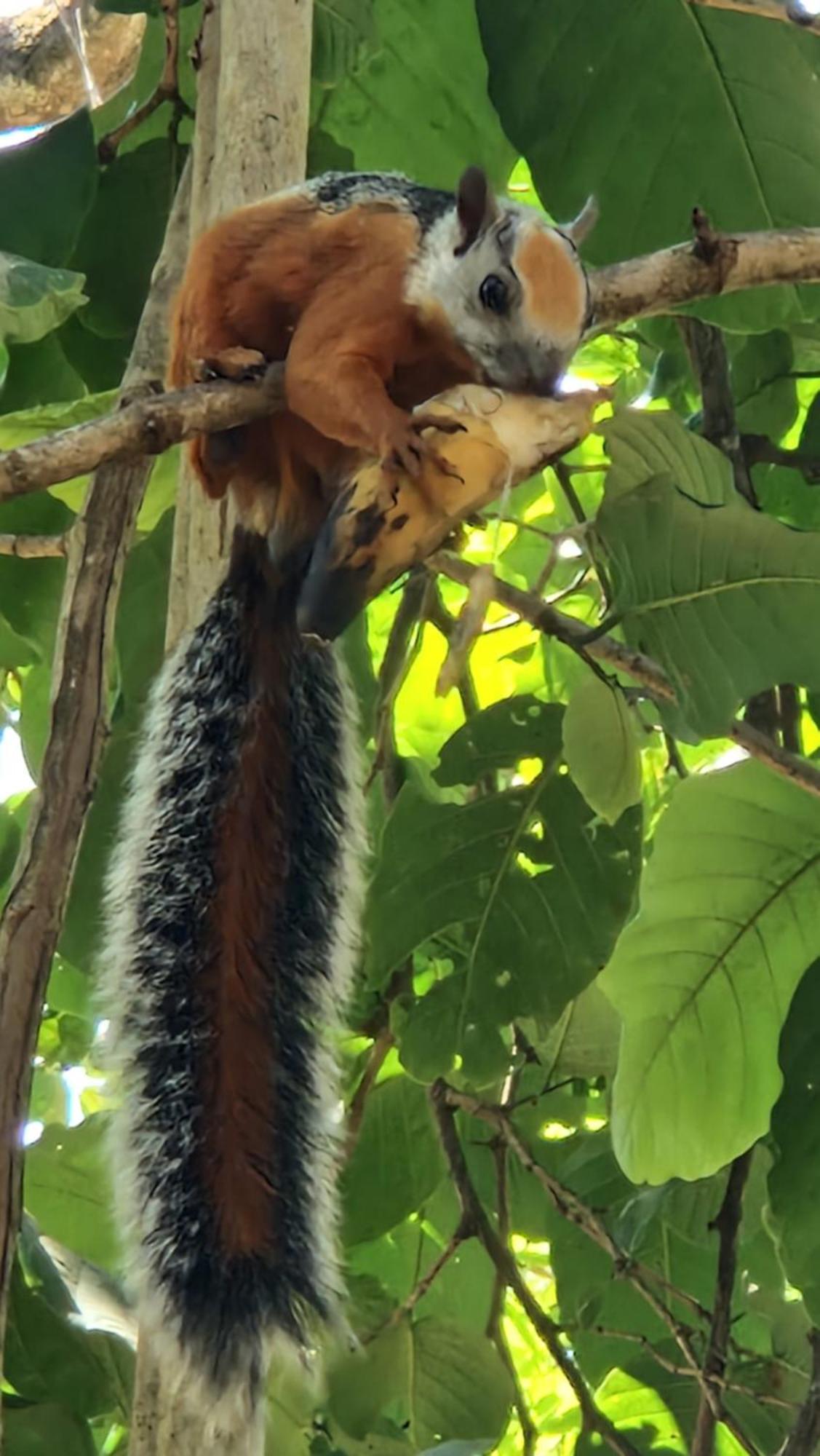 Villasjungle 1 Самара Экстерьер фото