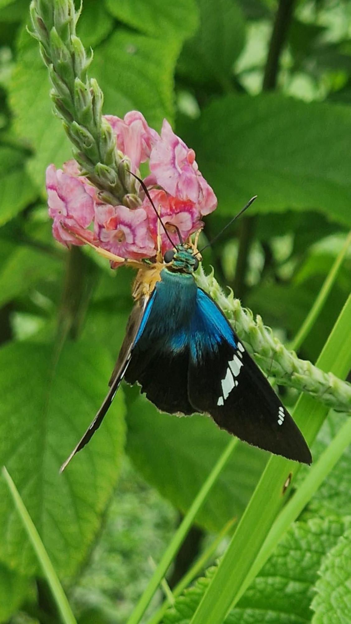 Villasjungle 1 Самара Экстерьер фото