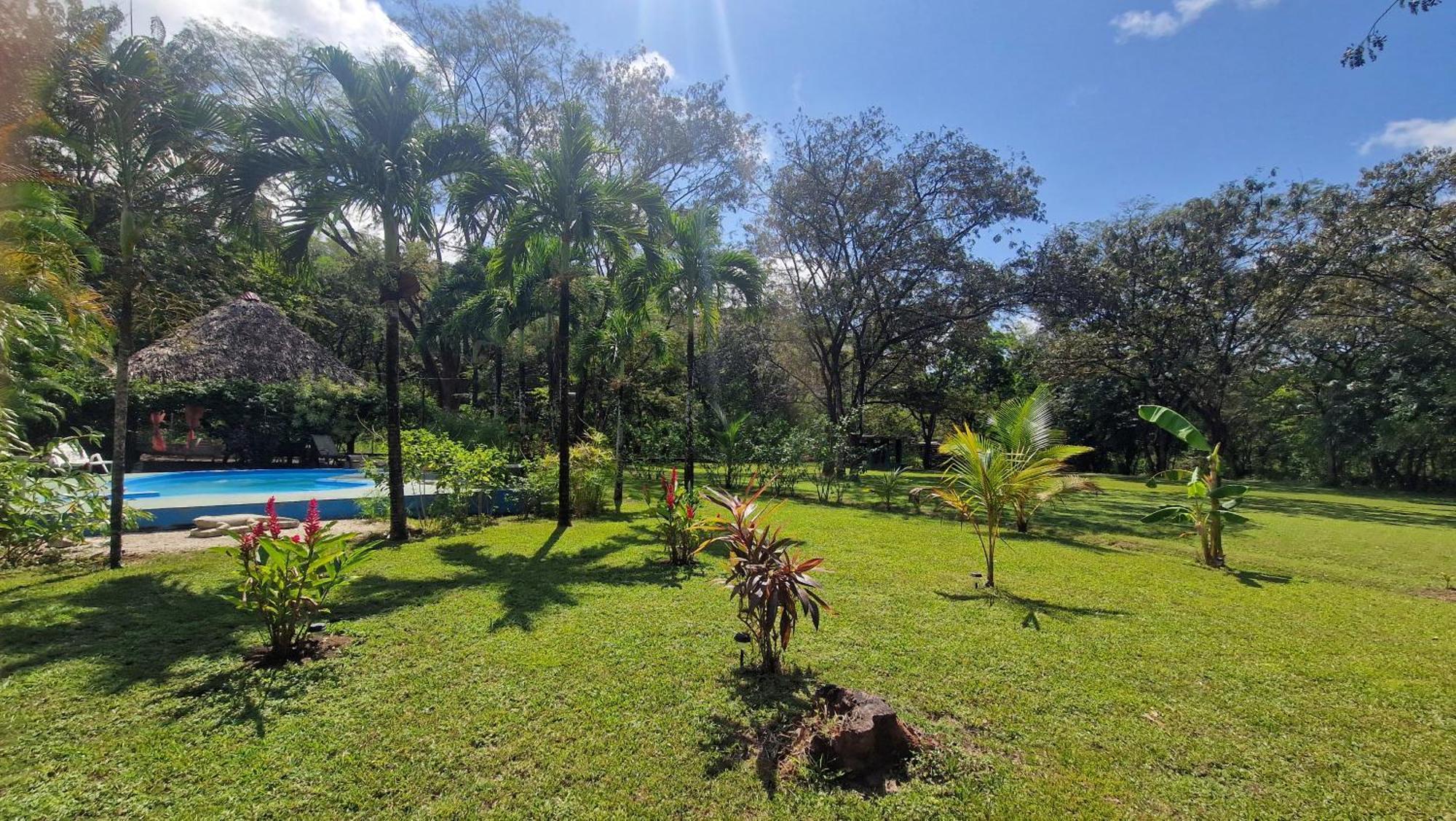 Villasjungle 1 Самара Экстерьер фото